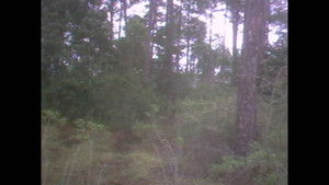 Past & Present Memories