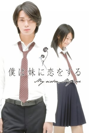 Poster 僕は妹に恋をする 2007