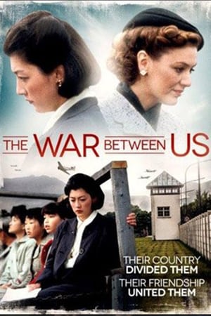 Poster 我们之间的战争 1995