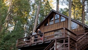 Cedar Rock Cabin