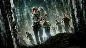 The Maze Runner 2014