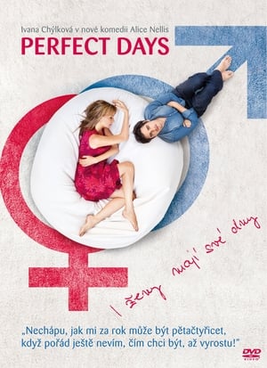 Poster Perfect Days (2011)