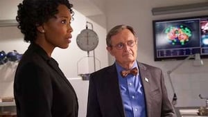 Agenci NCIS: s15 e7 PL