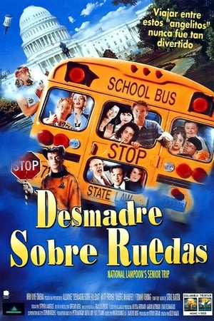 Poster Desmadre sobre ruedas 1995