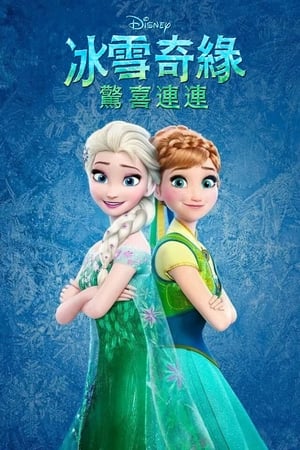 Poster 冰雪奇缘：生日惊喜 2015