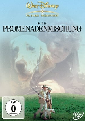 Poster Die Promenadenmischung 1972