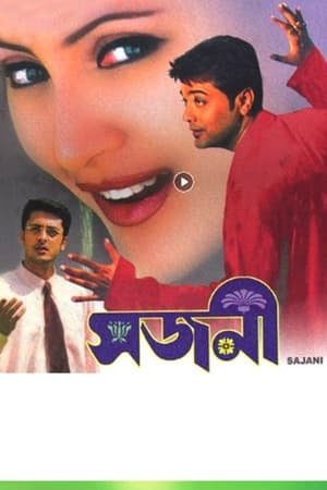 Poster সজনী 2004