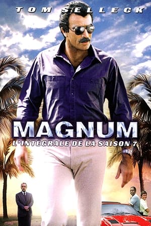 Magnum - Saison 7 - poster n°4