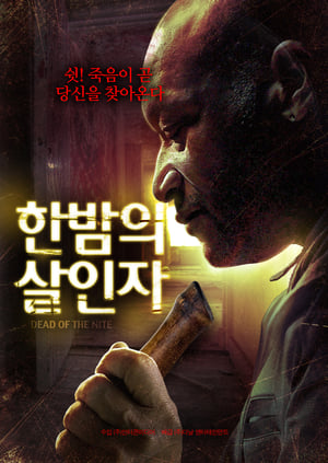 Poster 한밤의 살인자 2013