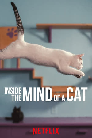 Inside the Mind of a Cat 17