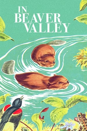 Beaver Valley poster