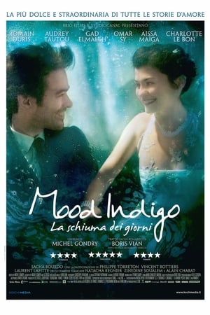 Image Mood Indigo - La schiuma dei giorni