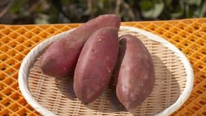 Image SWEET POTATO