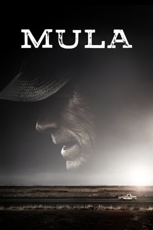 Poster Mula 2018