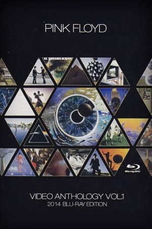 Poster Pink Floyd: Video Anthology Vol 1 2014