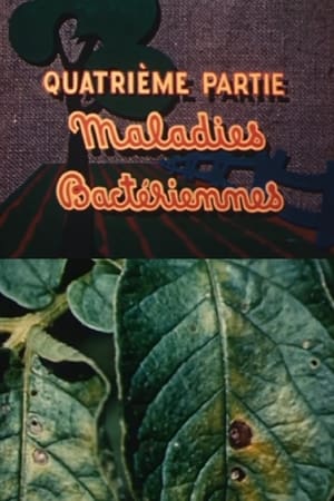 Poster Les ennemis de la pomme de terre: Maladies bactériennes 1949
