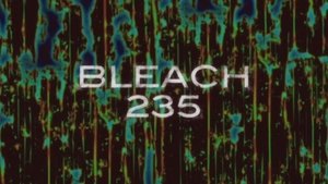 Bleach: 1×235