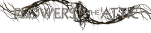 /r88psZWPWbNVkez0oChFHyeR7pk.png