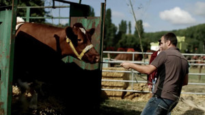 RN 72, à la conquête de l’Ouest