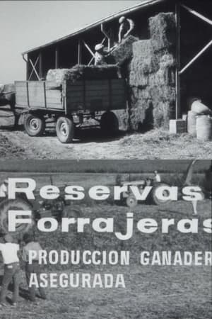 Image Reservas forrajeras, producción ganadera asegurada