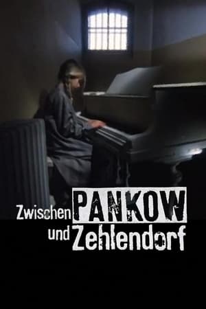 Zwischen Pankow und Zehlendorf 1991