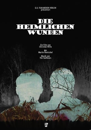 Poster Die heimlichen Wunden (2013)