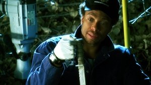 CSI: Crime Scene Investigation: 4×18