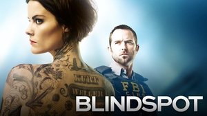 poster Blindspot