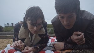 Yalnız Kurt (2021) izle