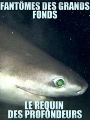 Poster Fantômes des grands fonds – Requins des profondeurs 2015