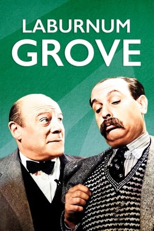 Poster Laburnum Grove (1936)