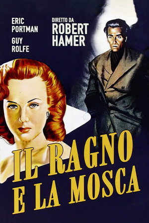 Image Il ragno e la mosca