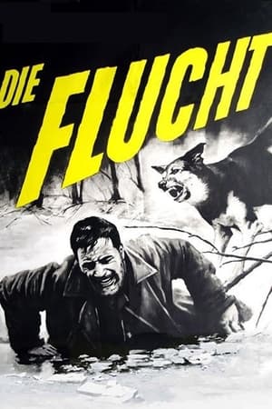 Poster Mensch und Bestie 1963