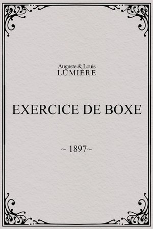 Exercice de boxe