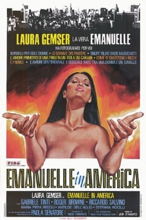 Poster 艾曼纽在美国 1977