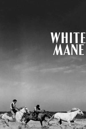 Poster White Mane 1953