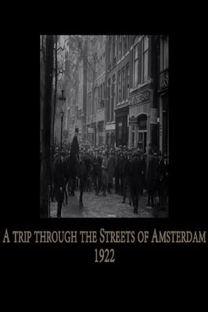 A Trip Through the Streets of Amsterdam
