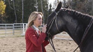 Heartland: 6×13