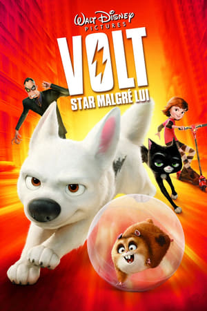 Volt, star malgré lui (2008)