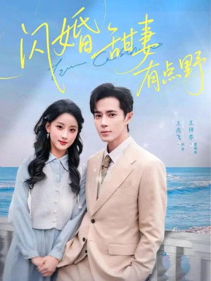 闪婚甜妻有点野 - Season 1