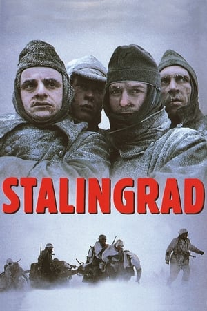 Poster Stalingrad (1993)