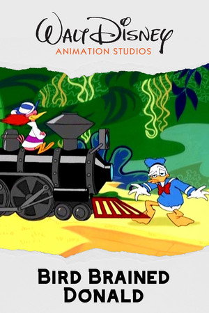 Bird Brained Donald 3