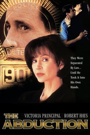 Poster The Abduction 1996