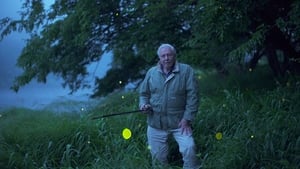 Attenborough’s Life That Glows