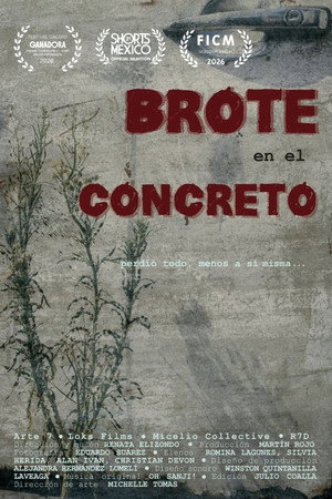Brote en el concreto