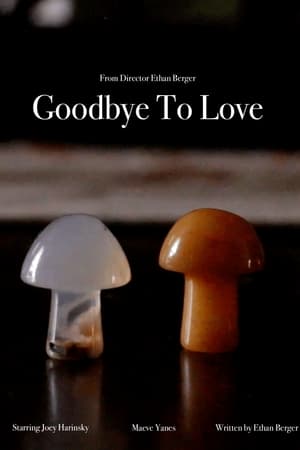 Poster Goodbye To Love (2023)