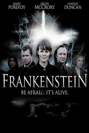 Poster Frankenstein (2007)