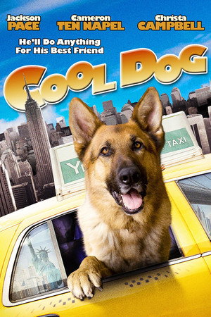 Cool Dog 13
