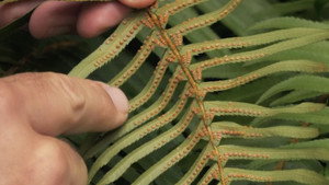 Is God Dependable? | StreamHub