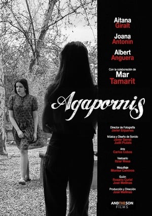Poster Agapornis (2018)